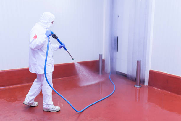 Best Driveway Pressure Washing  in Frewsburg, NY