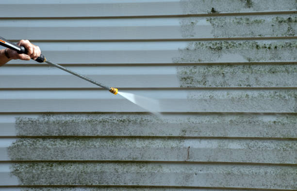 Trusted Frewsburg, NY Pressure Washing Services Experts