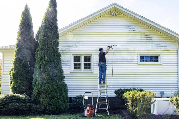Best Solar Panel Cleaning  in Frewsburg, NY